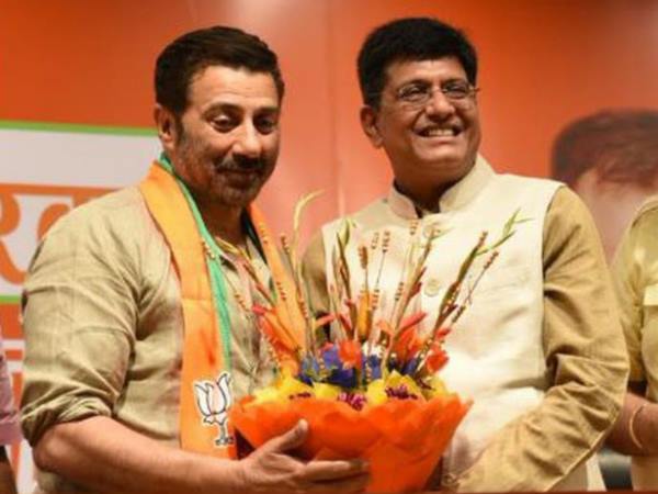 भाजपा के बड़े नेता सनी के लिए प्रचार करने आ सकते हैं