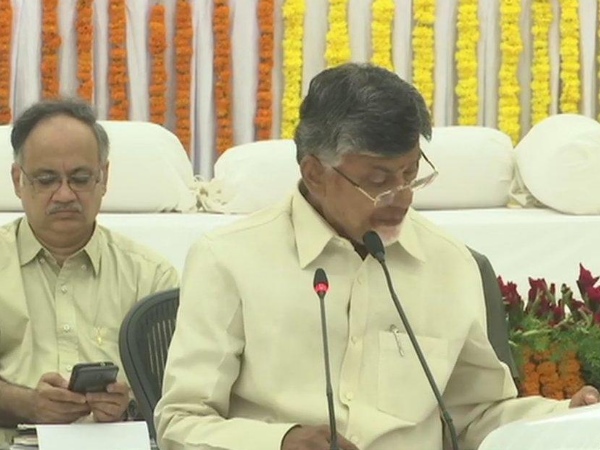 andhra pradesh CM Chandrababu Naidu releases TDP 2019 elections manifesto highlights andhra pradesh CM Chandrababu Naidu releases TDP 2019 elections manifesto highlights