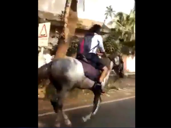 इस खास वजह से घोड़े पर स्कूल गई छात्रा