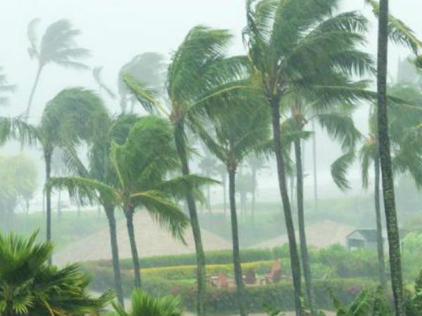 BJPs Sambit Patra Tweets On Cyclone Fani, Prays to lord jagannath BJPs Sambit Patra Tweets On Cyclone Fani, Prays to lord jagannath