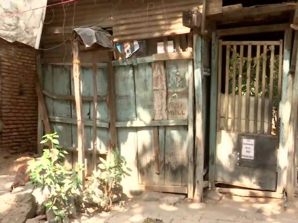 ज्ञान का भंडार हैं डॉ हेमा साने
