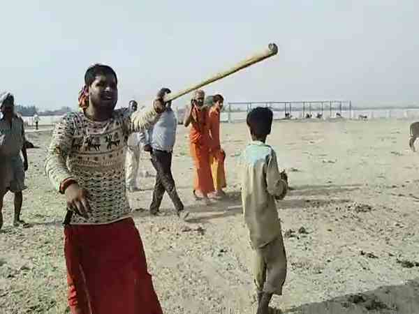 many cows are dying in gaushala many cows are dying in gaushala