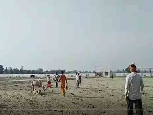 many cows are dying in gaushala many cows are dying in gaushala