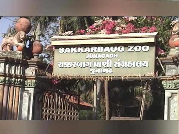 जम्मू कश्मीर ने भी मांगे शेर, सरकार अभी देने को तैयार नहीं