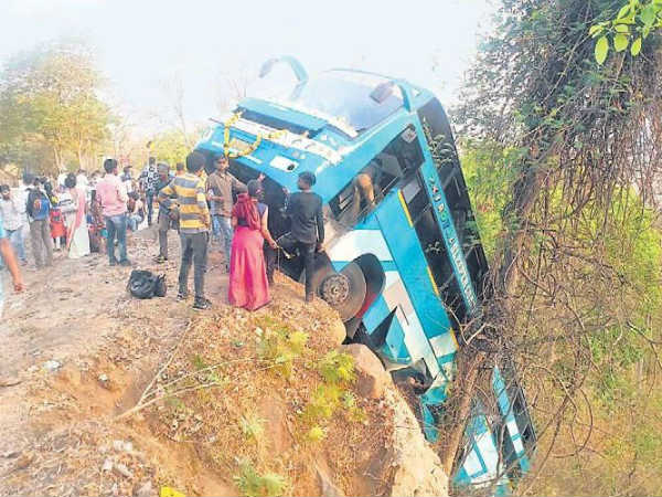 एक पेड़ ने बचा ली 70 जिंदगियां