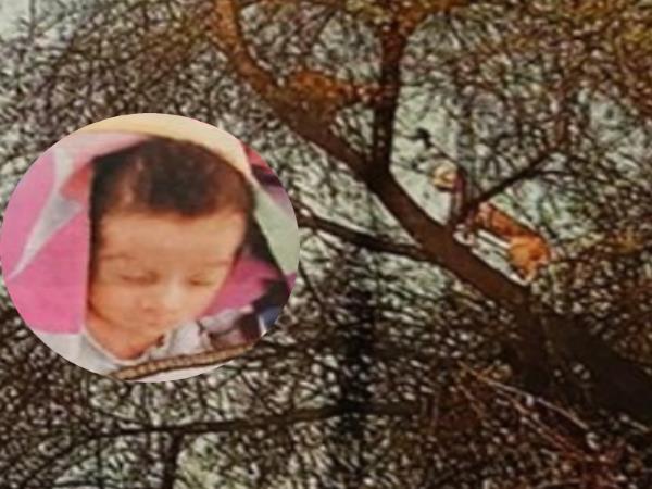 cat took up newborn child in nayla village of Jaipur rajasthan cat took up newborn child in nayla village of Jaipur rajasthan