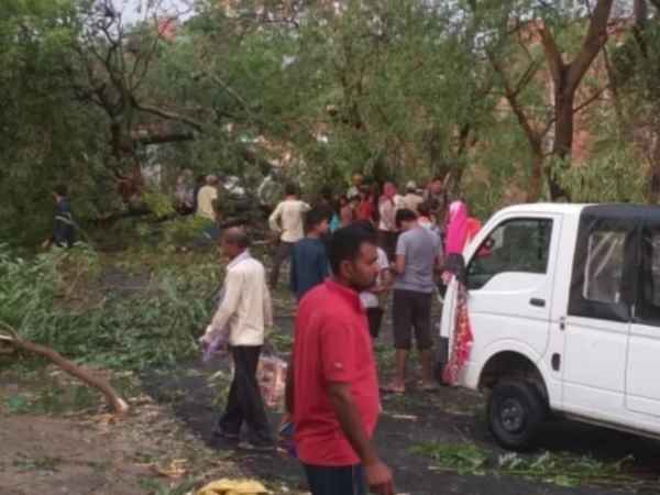 पेड़ और बिजली के खंभे गिर जाने से यातायात अवरुद्ध