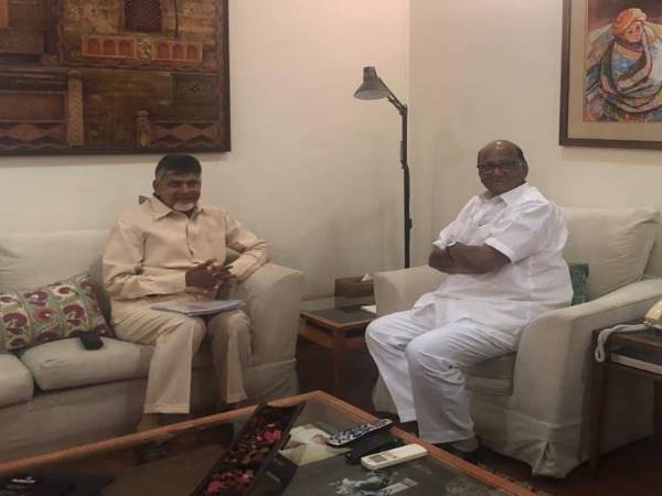 राहुल गांधी और शरद पवार से भी चंद्रबाबू नायडू ने की मुलाकात
