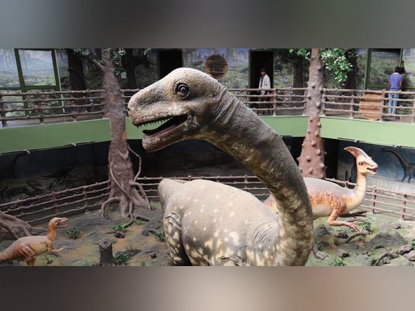 डायरनासोर के इन अंगों के जीवाश्वम यहां मिले