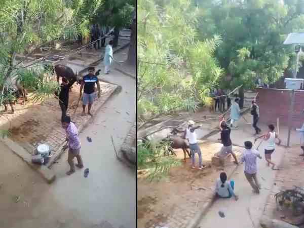 farmer family beaten by the pradhan and his supporters farmer family beaten by the pradhan and his supporters