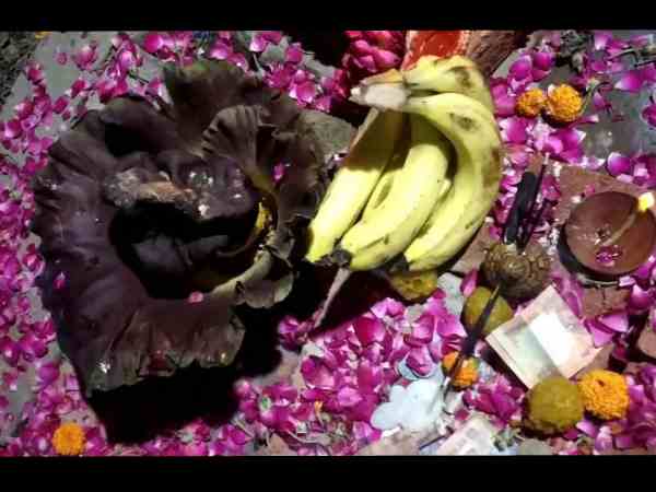 devotees start worshipping after they saw lord ganesh idol devotees start worshipping after they saw lord ganesh idol