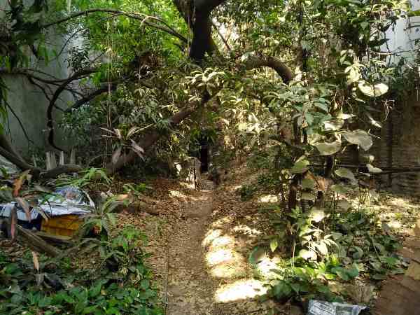 लिख चुकी हैं कई किताबें