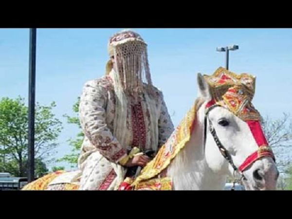 Gujarat: Stone Pelting At A Dalits Wedding Leaves Innocent Horse Dead Gujarat: Stone Pelting At A Dalits Wedding Leaves Innocent Horse Dead