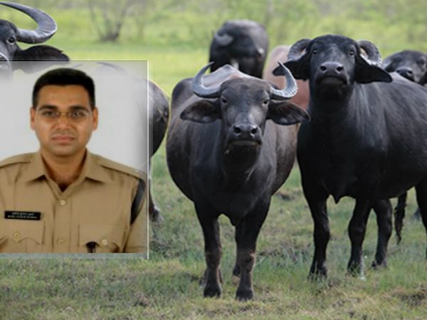 IPS Manoj Sharma success Story Morena to mumbai deputy commissioner IPS Manoj Sharma success Story Morena to mumbai deputy commissioner