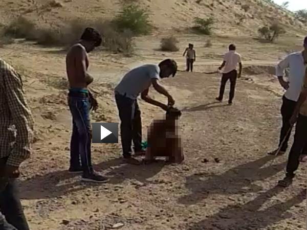Jaisalmer Two youth Beaten Video Goes Viral on Social media Jaisalmer Two youth Beaten Video Goes Viral on Social media