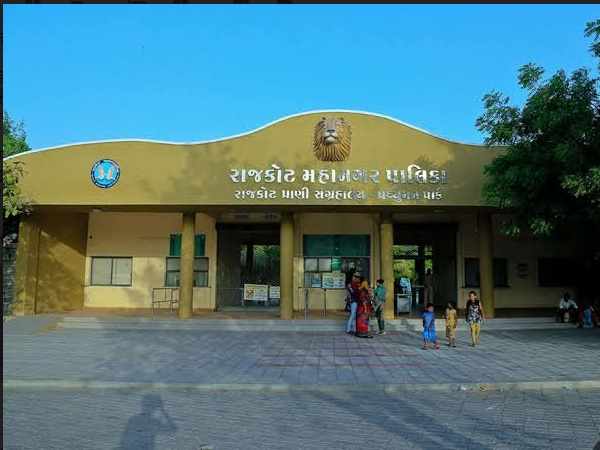 सौराष्ट्र: सबसे बड़े चिड़ियाघर प्रद्युमन पार्क में जन्मा शेर सौराष्ट्र: सबसे बड़े चिड़ियाघर प्रद्युमन पार्क में जन्मा शेर