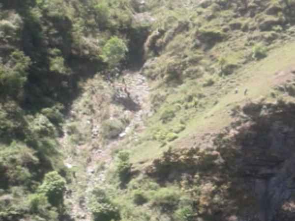 Five people dead & one was injured after a car rolled down Five people dead & one was injured after a car rolled down