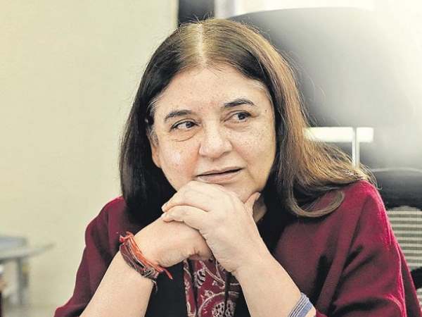maneka gandhi helps cancer affected donkey maneka gandhi helps cancer affected donkey