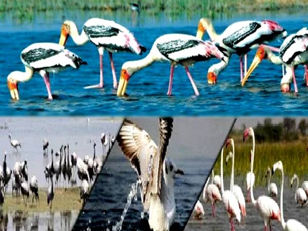 120 वर्ग किलोमीटर में फैला कुदरती नगर संकट में