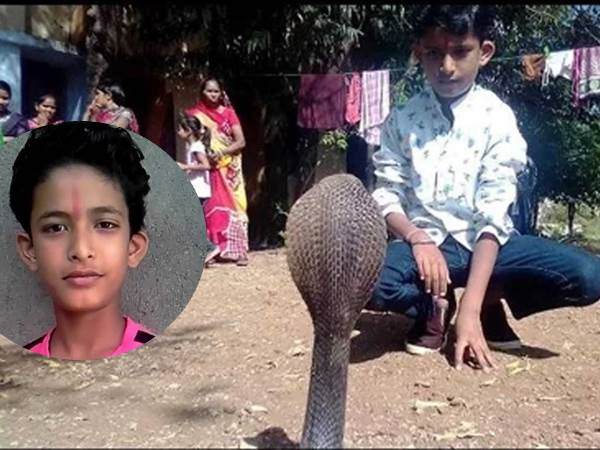 Ratlam Cobra catcher Boy samarpan will get President Jeevan Raksha Padak Ratlam Cobra catcher Boy samarpan will get President Jeevan Raksha Padak