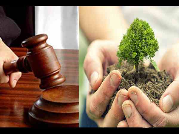 Plant 20 fruitful trees and take care of them, peculiar punishment by HC Plant 20 fruitful trees and take care of them, peculiar punishment by HC