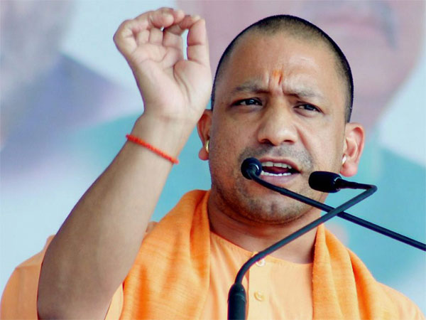 yogi yogi
