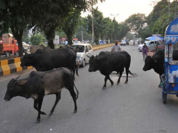 परिवार के लोगों का रो-रोकर बुरा हाल