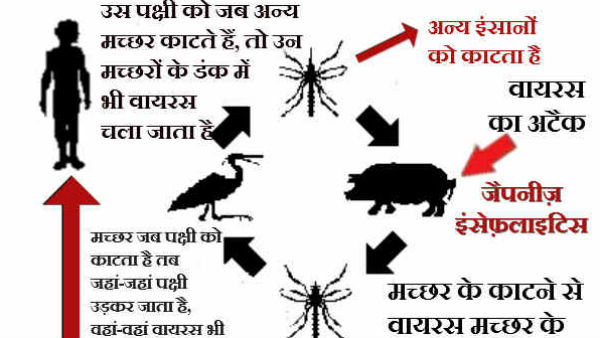 लक्षण