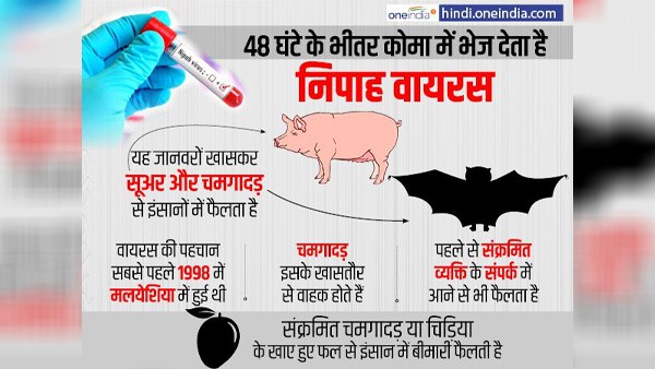 क्या है 'निपाह वायरस'