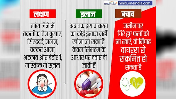 'निपाह वायरस' के लक्षण