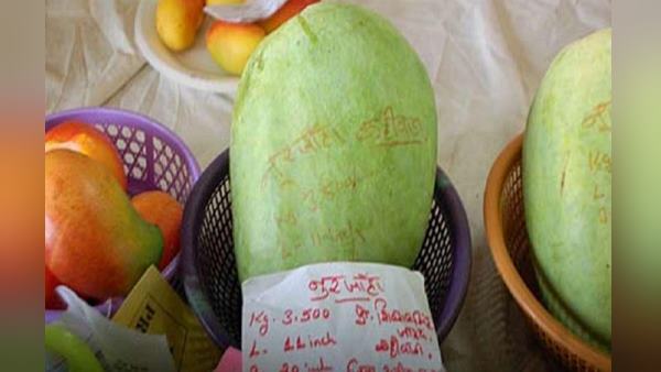 इन शहरों में हो रहीं सर्वाधिक एडवांस बुकिंग