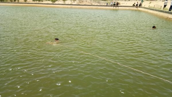 woman Jumpped in to water wioth three chaild in bikaner woman Jumpped in to water wioth three chaild in bikaner