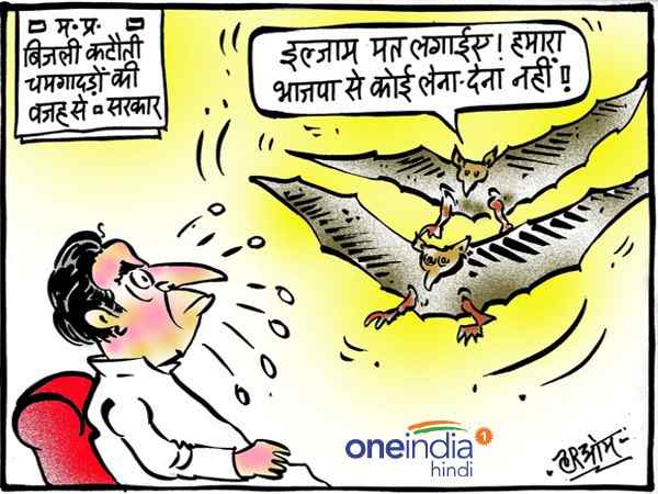 cartoon cartoon