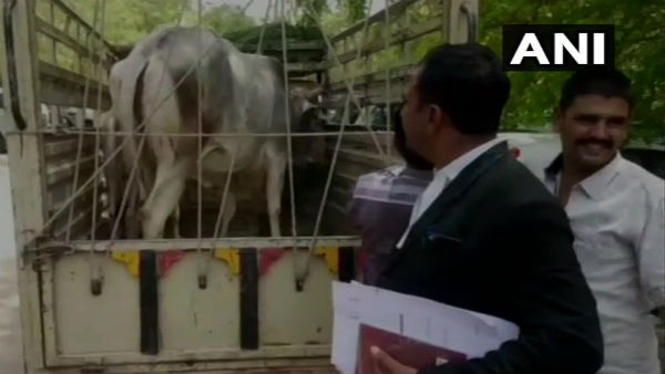 कोर्ट ने दिया फैसला