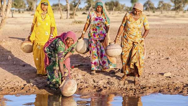 चारा खरीदने के लिए 150 करोड़ रुपये खर्च किया