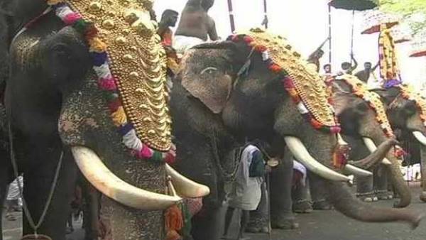 3,100 किमी दूरी तय कर पहुंचेंगे अहमदाबाद
