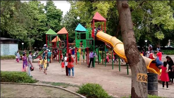 वन विभाग ने केवडिया में जंगली जानवरों के लिए बनाया ये प्लान