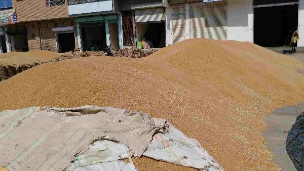 रावतसर धानमंडी आकर व्यापारियों से मिला बेटा