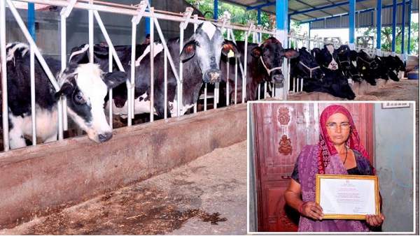 मुख्यमंत्री ने नवाजा और भी कई पुरस्कार मिले