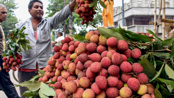 फल माफिया फैला रहे अफवाह ?