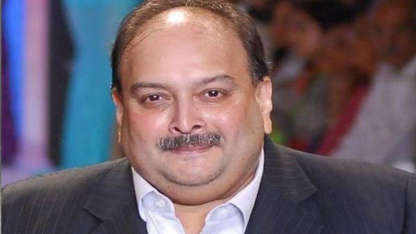mehul choksi advocate statement on returning of mehul in india mehul choksi advocate statement on returning of mehul in india