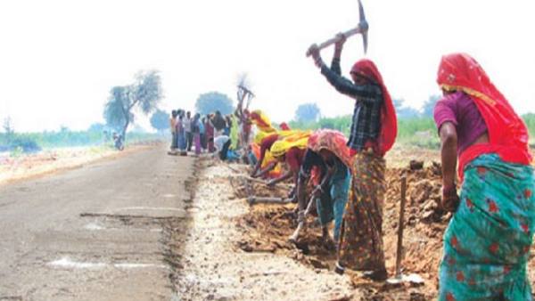 Gujarat, Gujarat High Court, MGNREGA employees, outsourcing agencies, Gujarat News, Government Schemes, MGNREGA, Rural Employment Guarantee Scheme, gandhinagar Gujarat, Gujarat High Court, MGNREGA employees, outsourcing agencies, Gujarat News, Government Schemes, MGNREGA, Rural Employment Guarantee Scheme, gandhinagar