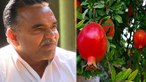 7 सर्वश्रेष्ठ किसान पुरस्कार आ चुके हैं इस विकलांग की झोली में