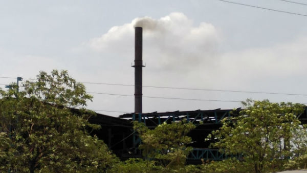 सभी इलाकों में पाया गया मैंगनीज़