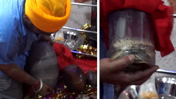 शिवलिंग स्थापना के लिए हो रही थी खुदाई