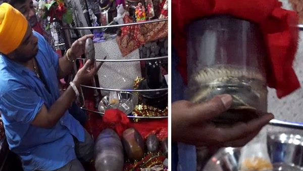 शिवलिंगों पर गुदी है ओम की आकृति
