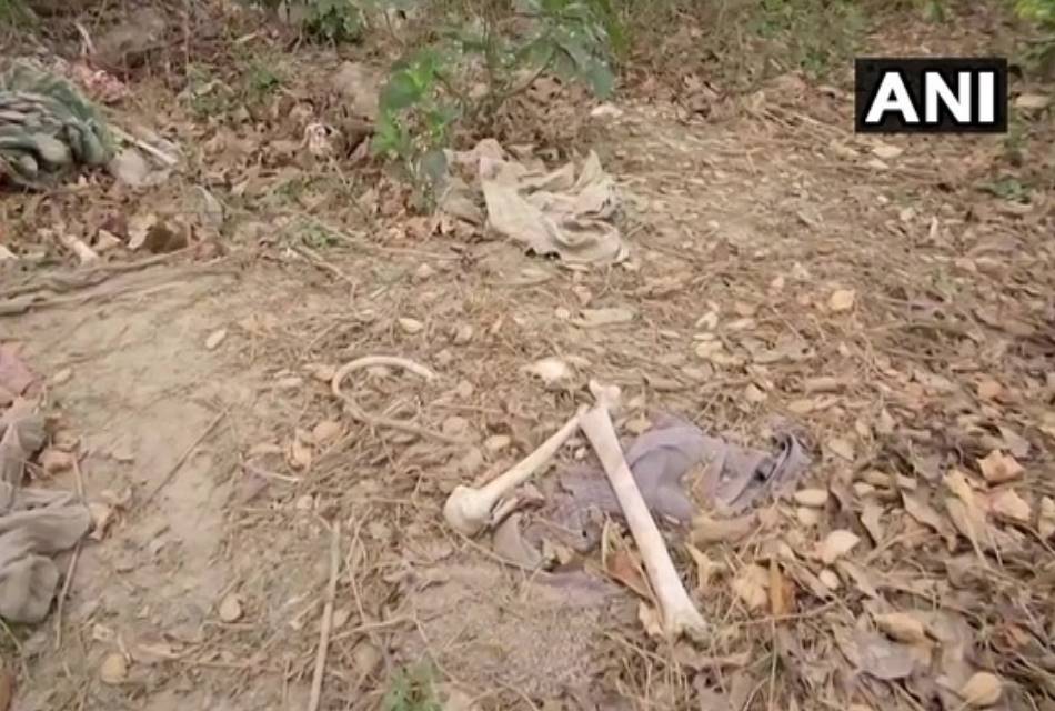 Muzaffarpur DM on skeletal remains found behind SKMCH Muzaffarpur DM on skeletal remains found behind SKMCH