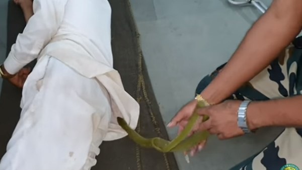 सांप पकड़े जाने के दौरान भी सोया रहा शख्स