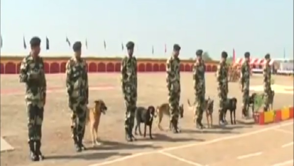 Special Dog Squad will Deployed on India Pakistan border Jaisalmer Special Dog Squad will Deployed on India Pakistan border Jaisalmer