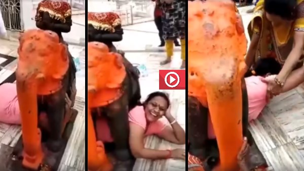 Woman gets stuck under elephant statue at Gujarat temple, Video goes viral Woman gets stuck under elephant statue at Gujarat temple, Video goes viral